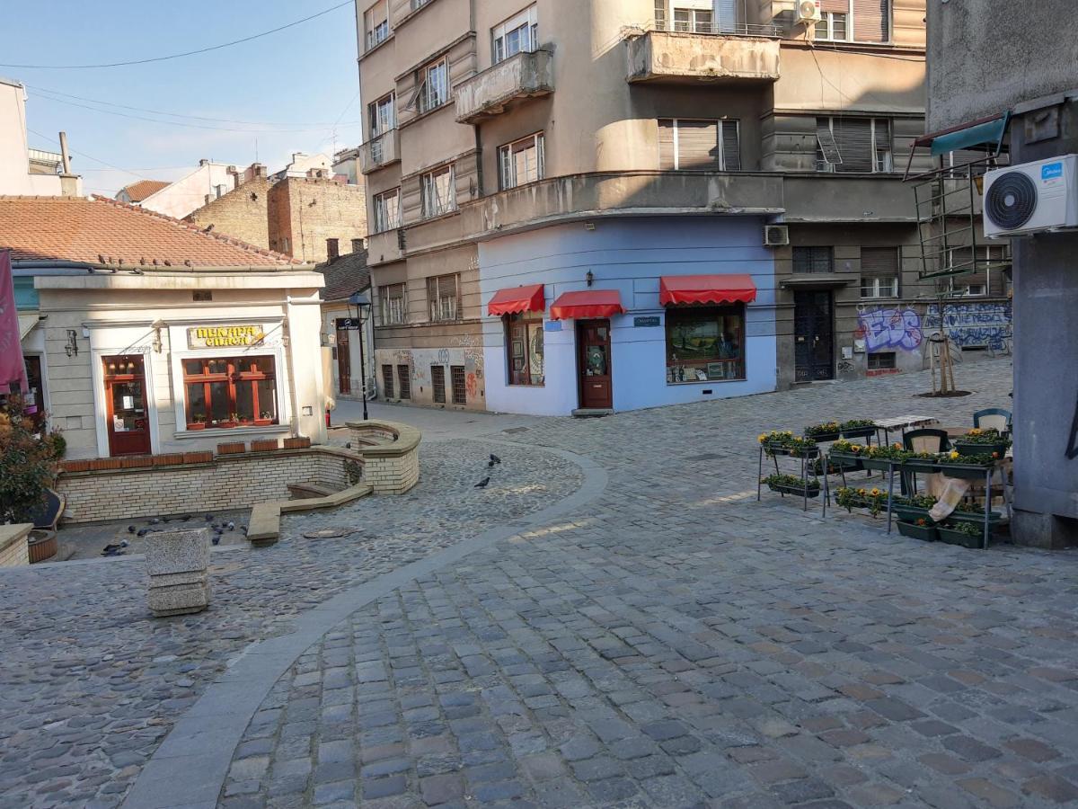 Apartment Africa Beograd Eksteriør billede